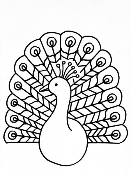 Рисование красками Павлин