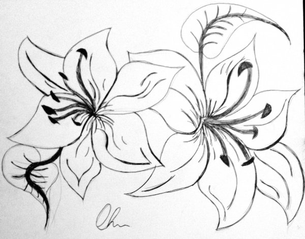 Узор в виде лилии