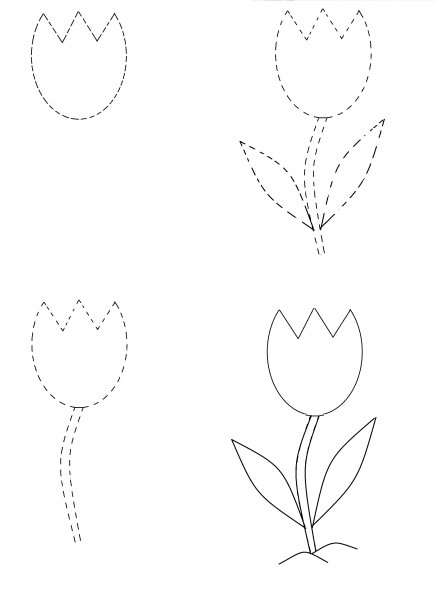 Как нарисовать тюльпан карандашом