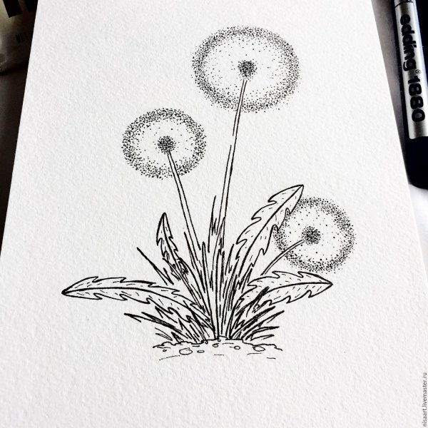 Одуванчики гелевой ручкой