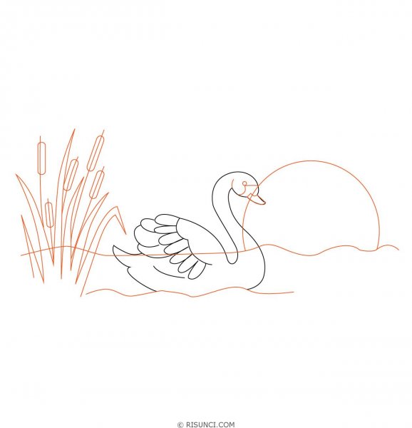 Лебедь рисунок карандашом для детей