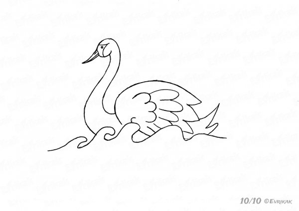 Рисунки лебедей для срисовки