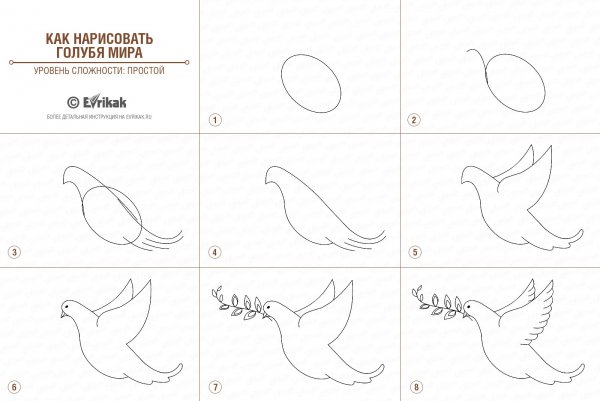 Поэтапное рисование голубя мира