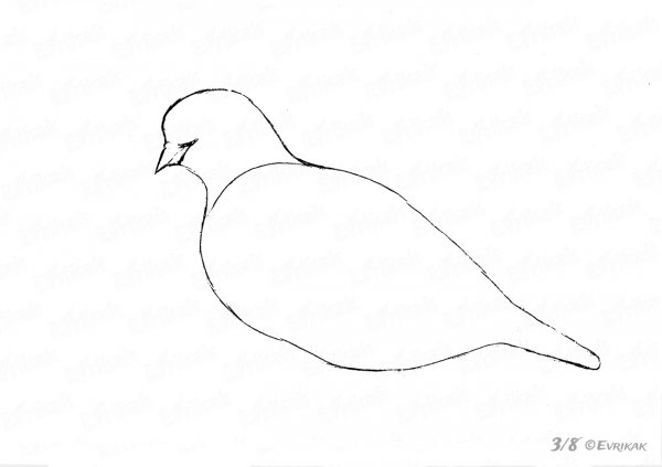 Поэтапное рисование голубя