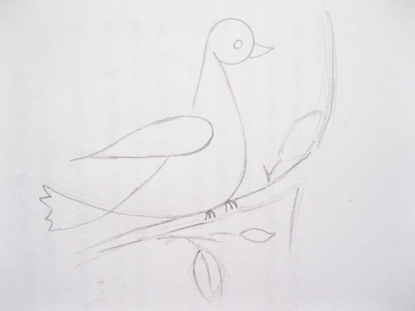 Рисование голубя поэтапно для детей