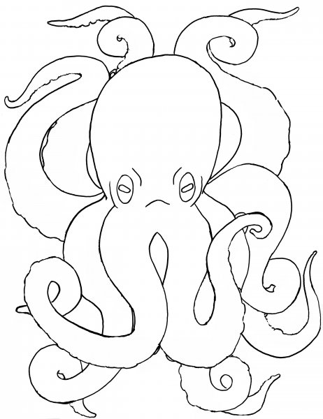 Осьминог рисунок легкий