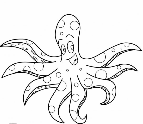 Осьминог раскраска для детей