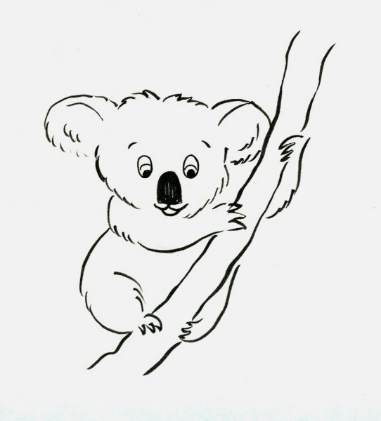Рисование коала для детей