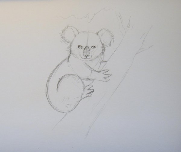 Рисунки для альбома карандашом