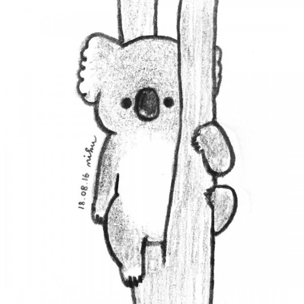 Милые коалы для срисовки