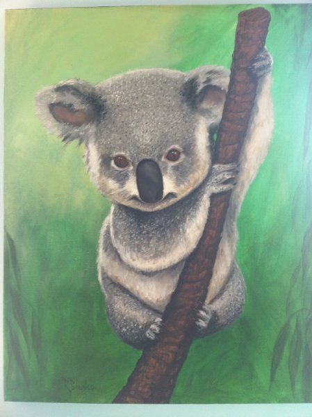 Коала карандашом