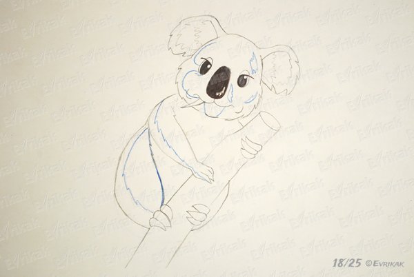 Коала для срисовки