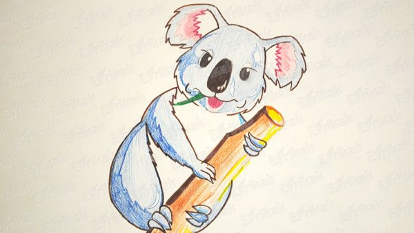 Коала поэтапное рисование