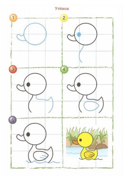 Уточка поэтапное рисование
