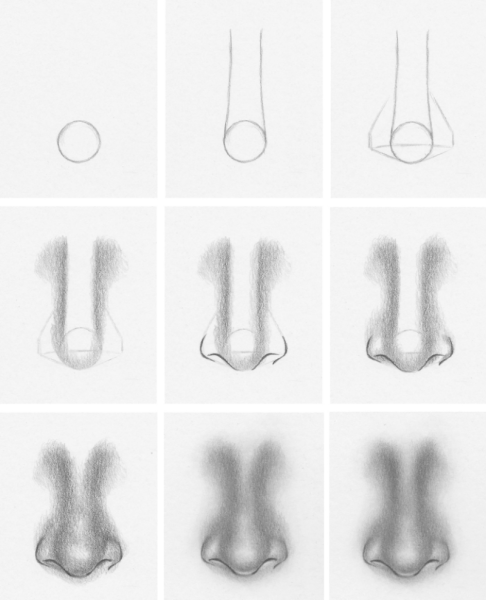 Пошаговое рисование носа