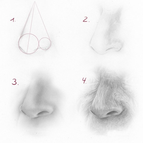 Схематическое рисование носа