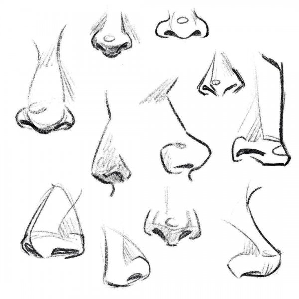 Этапы рисования носа