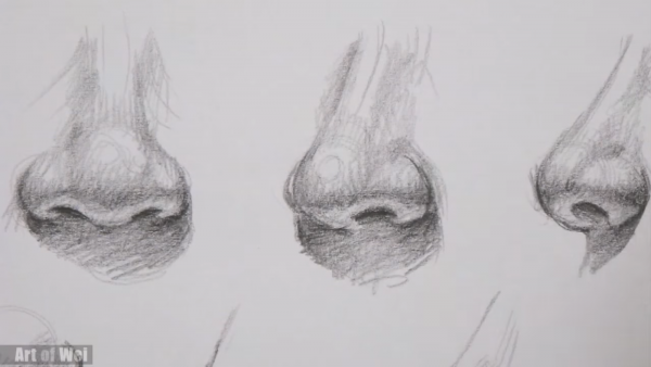 Поэтапные уроки рисования носа