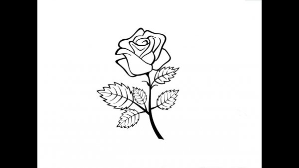 Роза рисунок простой