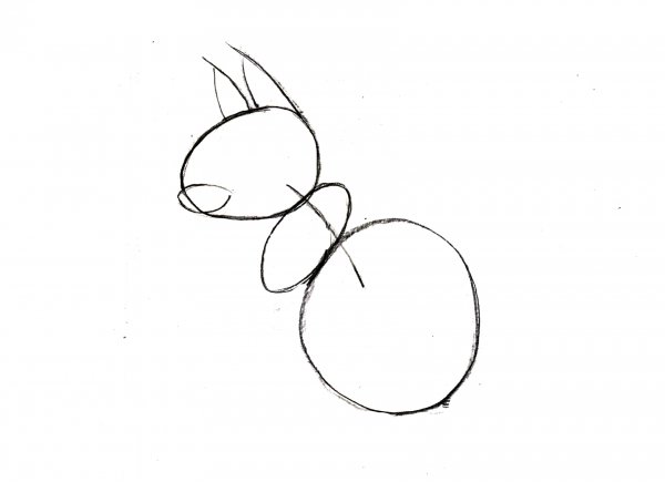 Белочка рисунок пошагово