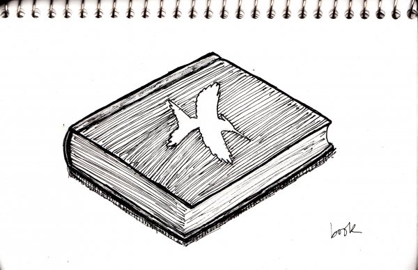 Рисунки книг для срисовки