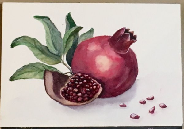 Гранат акварелью для начинающих