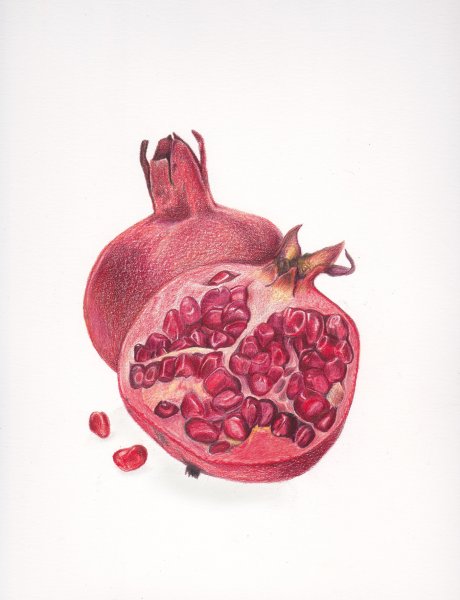 Зарисовки гранат