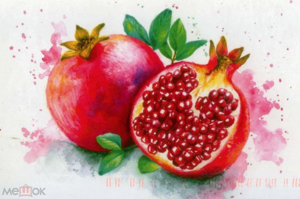 Гранат для срисовки