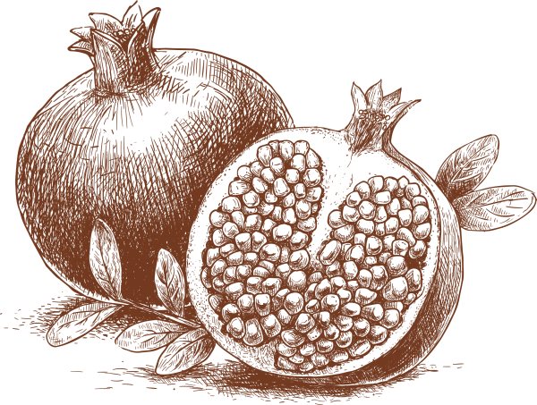 Гранат в графике