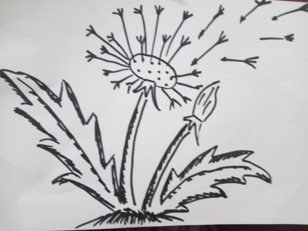 Штрихи для рисования одуванчиков