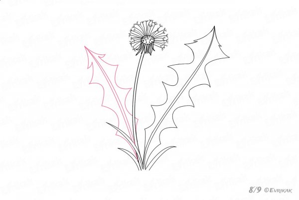 Рисуем листья одуванчика