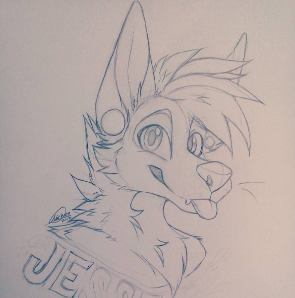 Рисунки фурри для срисовки