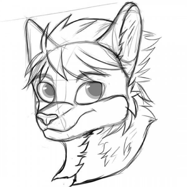 Фурри для срисовки