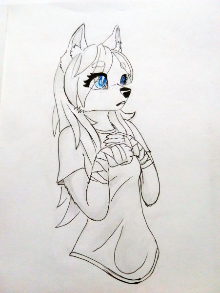 Фурри для срисовки