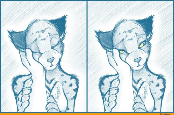 Фурри зарисовки