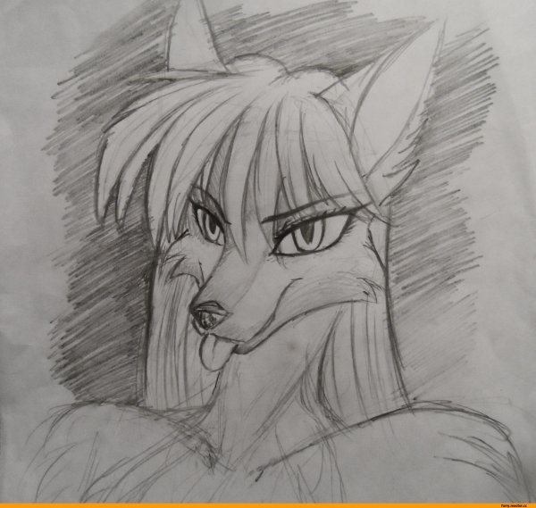 Рисунки фурри для срисовки