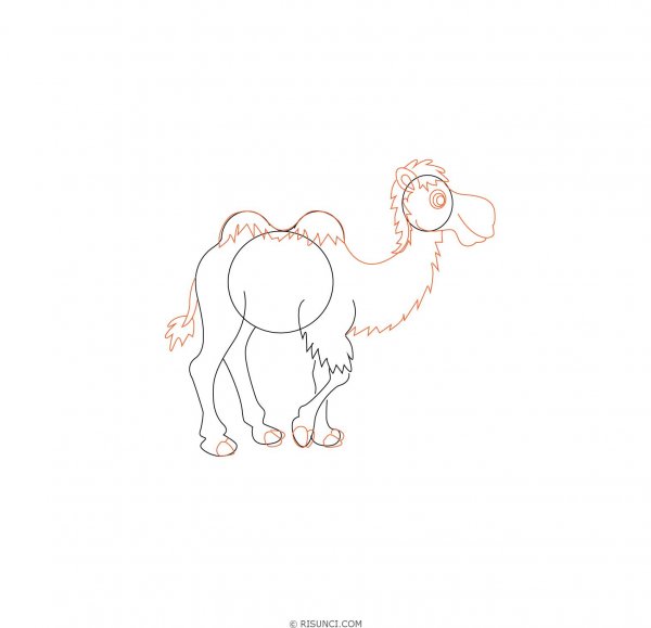 Верблюд пошагово