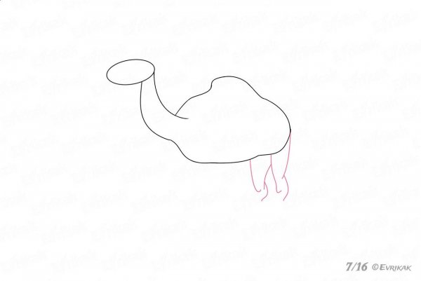 Верблюд поэтапно