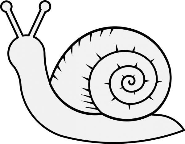 Улитка карандашом