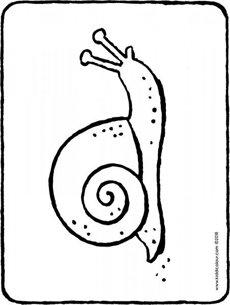 Улитка контур
