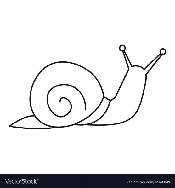 Контурное изображение улитки