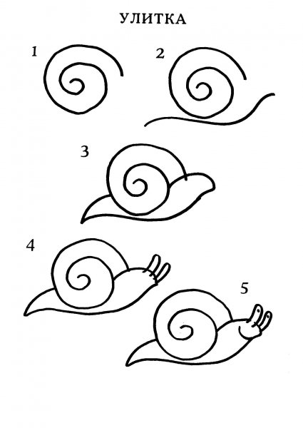 Как нарисовать улитку поэтапно