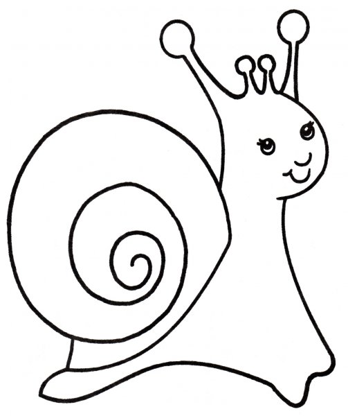 Улитка раскраска для детей