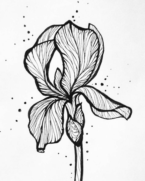 Стилизация цветов