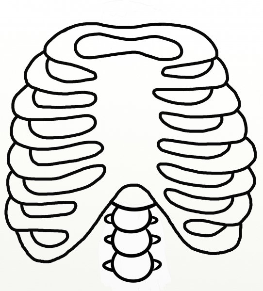 Кости для костюма Кощея