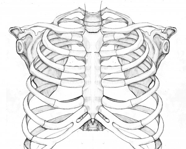 Скелет кости для костюма Кощея
