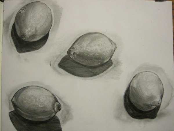 Лимон Академический рисунок