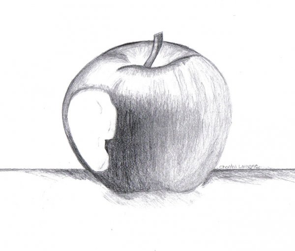 Рисование яблока карандашом