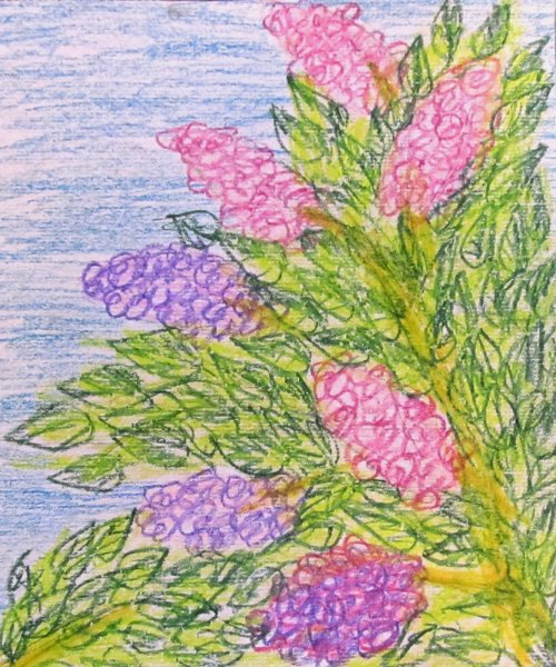 Рисование восковыми мелками