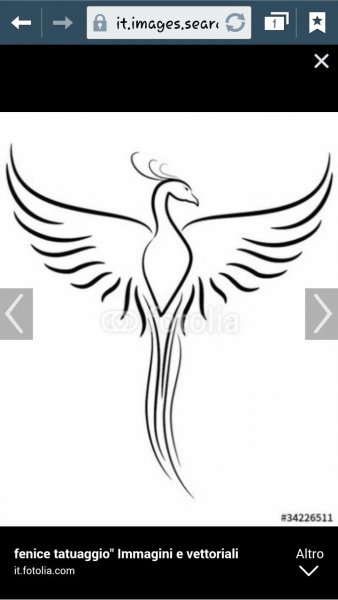 Феникс эскиз легкий